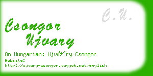 csongor ujvary business card